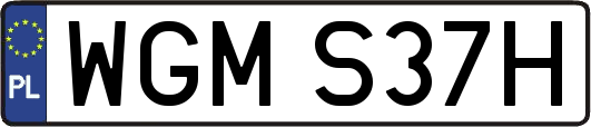 WGMS37H