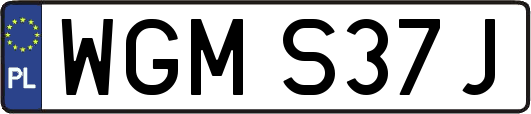 WGMS37J
