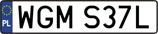 WGMS37L