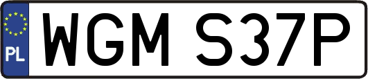 WGMS37P
