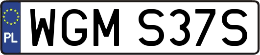 WGMS37S