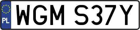 WGMS37Y