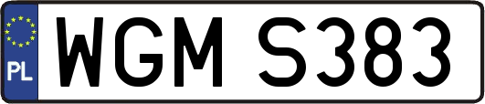 WGMS383
