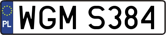 WGMS384