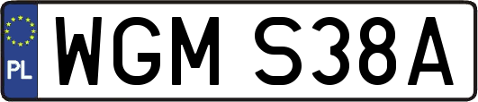 WGMS38A