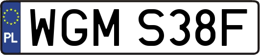 WGMS38F