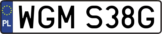 WGMS38G