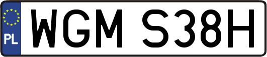 WGMS38H