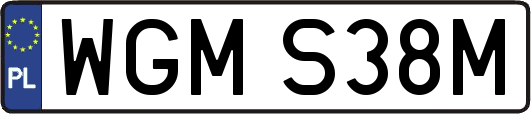 WGMS38M