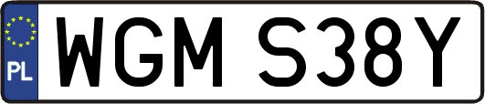 WGMS38Y
