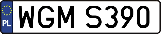 WGMS390