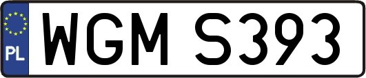 WGMS393