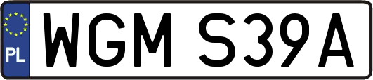 WGMS39A