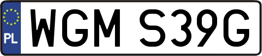 WGMS39G