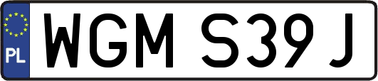 WGMS39J