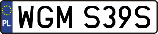 WGMS39S
