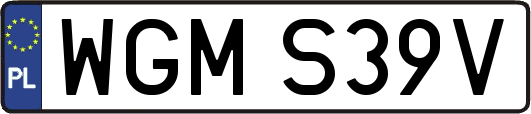 WGMS39V
