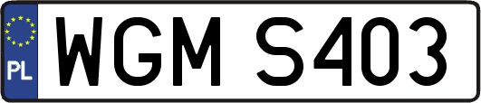 WGMS403