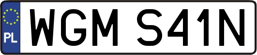 WGMS41N