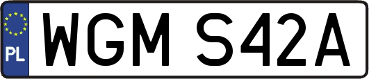 WGMS42A