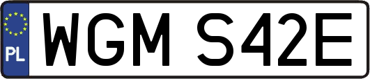 WGMS42E