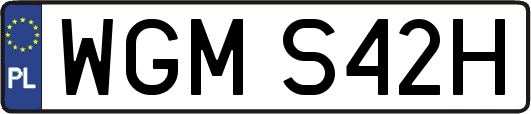 WGMS42H