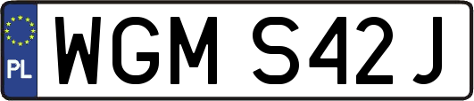 WGMS42J