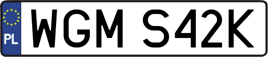 WGMS42K
