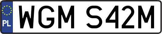 WGMS42M