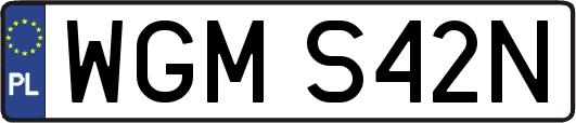WGMS42N