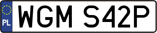 WGMS42P