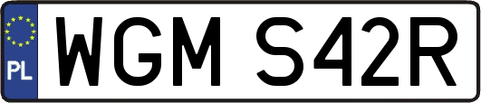 WGMS42R