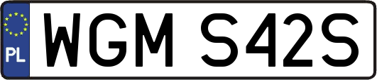 WGMS42S