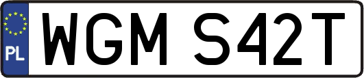 WGMS42T