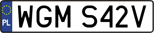 WGMS42V