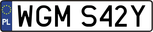 WGMS42Y