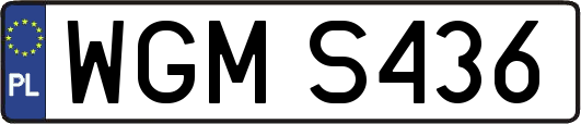WGMS436