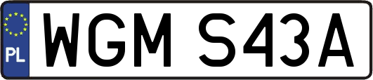 WGMS43A