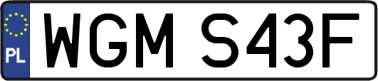 WGMS43F