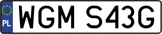 WGMS43G