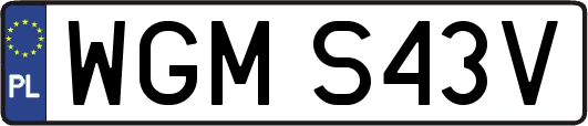 WGMS43V