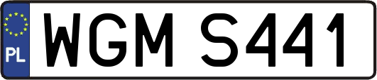 WGMS441