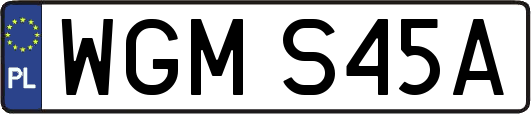 WGMS45A