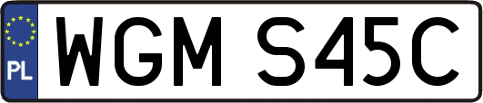 WGMS45C