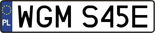 WGMS45E