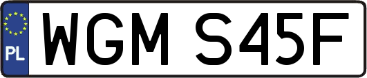 WGMS45F