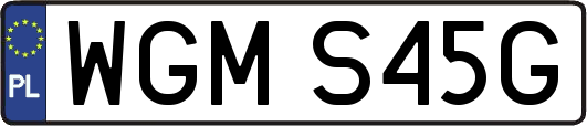 WGMS45G