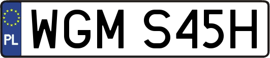 WGMS45H