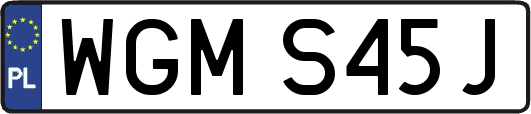 WGMS45J