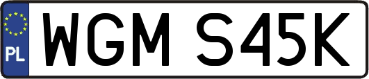 WGMS45K